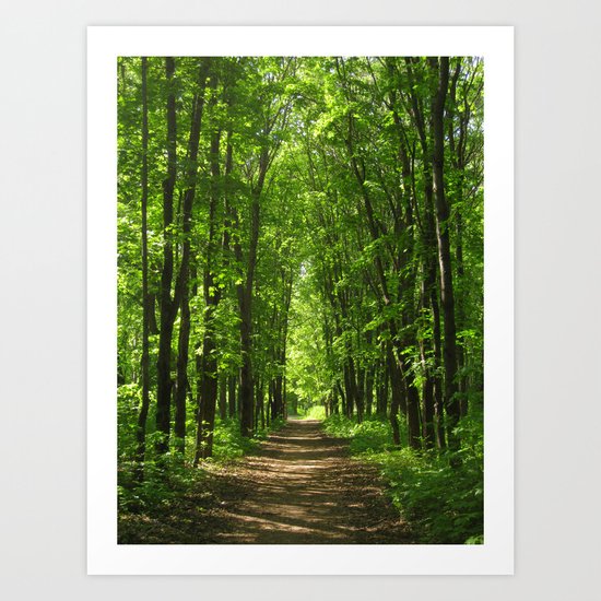 Forest Art Print