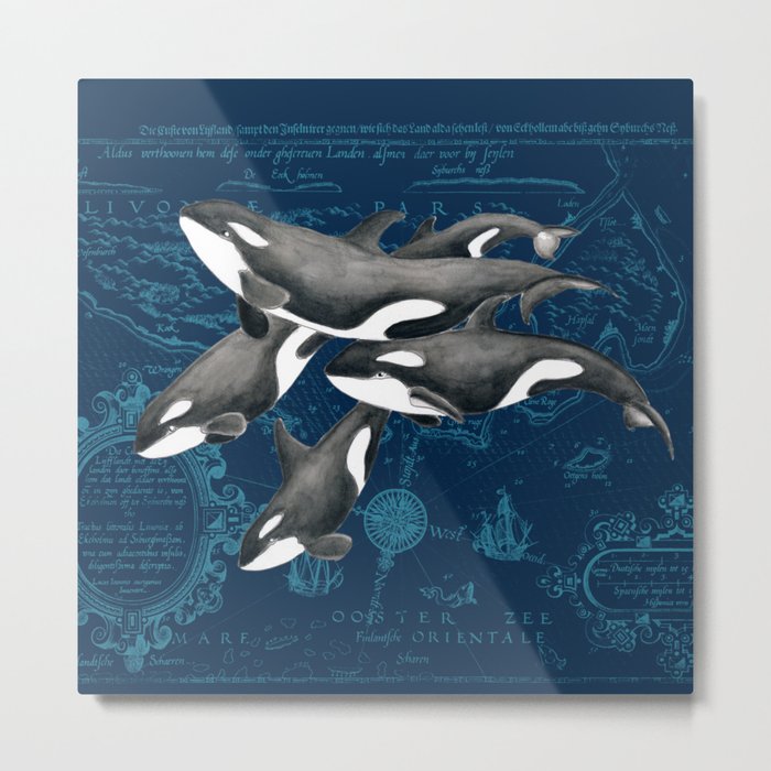 Orca Whales Family Indigo Vintage Map Metal Print