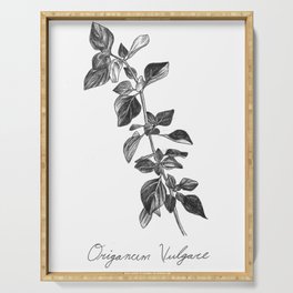 Oregano Botanical Illustration Serving Tray