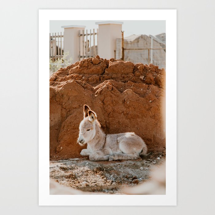 Art Print