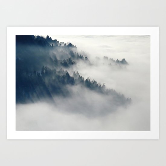 The forest Art Print