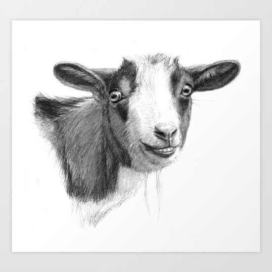 Curious goat sk098 Art Print