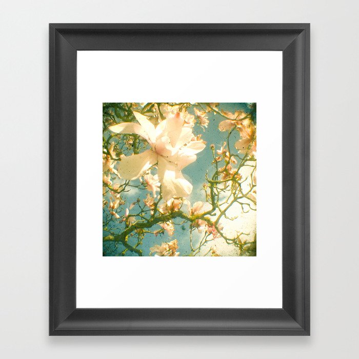 Magnolia Framed Art Print