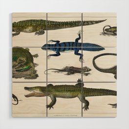 Collection of Various Reptiles Wood Wall Art