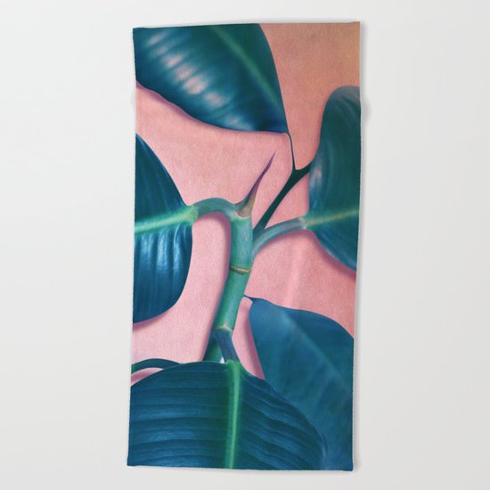 Ficus elastica Beach Towel