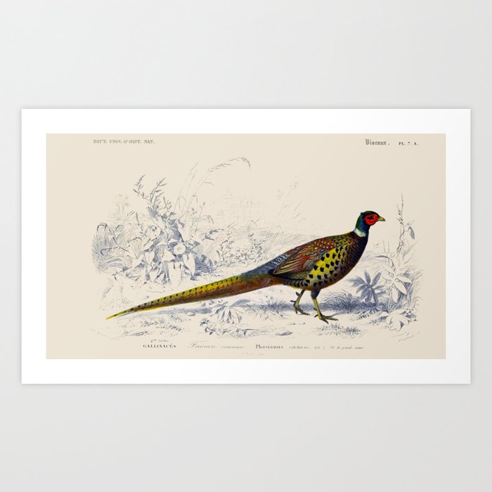 Art Print
