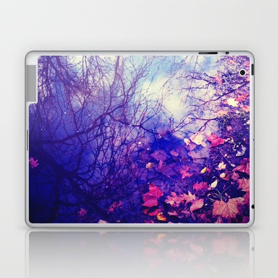 Winter Reflection Laptop & iPad Skin