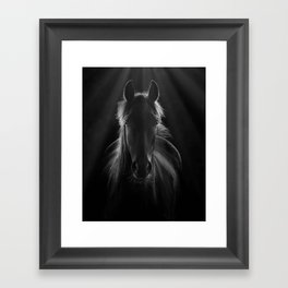 No One To Run With - Beautiful Horse Portrait black and white photograph - photography - photographs Framed Art Print