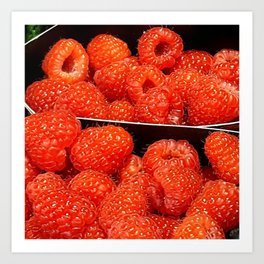 Fruit: French Raspberries (Framboises) Art Print