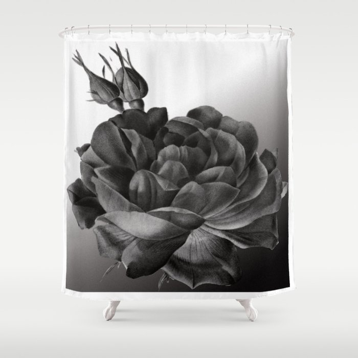 rose in black and white Shower Curtain
