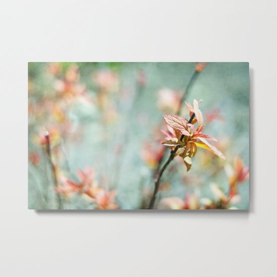 Color Bloom Metal Print