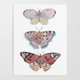 watercolor butterflies Poster