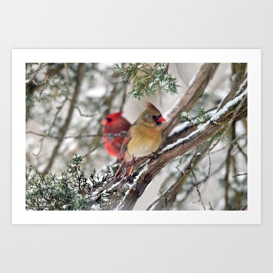 Tandem Cardinals Art Print