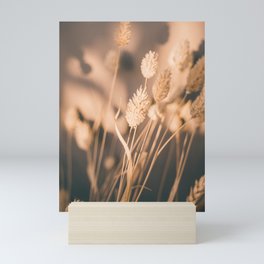 Dried Reeds Grass in Warm Colors | Boho Beige Brown Art | Nature Photography Mini Art Print