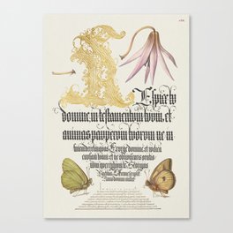 Vintage calligraphy art with flowers and butterflies Canvas Print