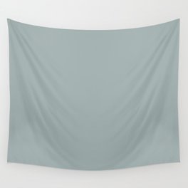 Pastel Enveloping Gray Blue Single Solid Color Coordinates with PPG Polaris PPG10-04 Blue Persuasion Wall Tapestry