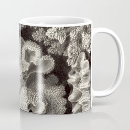 Ernst Haeckel - Hexacoralla Coffee Mug
