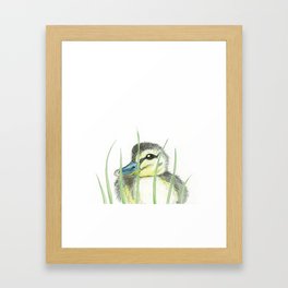 Peekaboo Baby Duck Framed Art Print