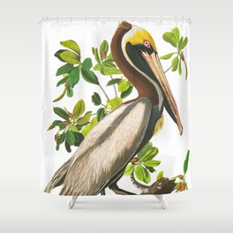  Brown Pelican by John James Audubon Shower Curtain