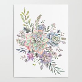 succulent watercolor 8 Poster