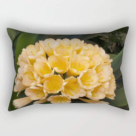 Clivia Apricot Rectangular Pillow