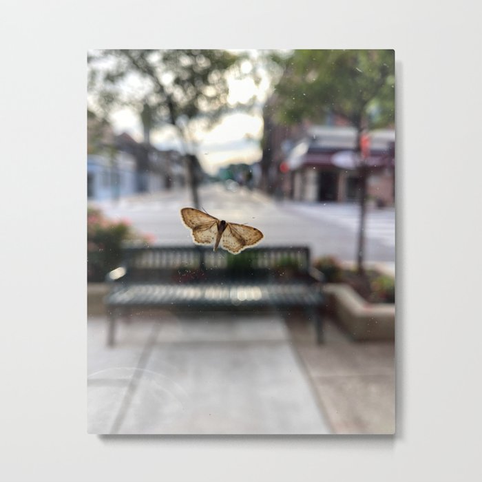 Hello, friend.  Metal Print