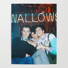 wallows Poster