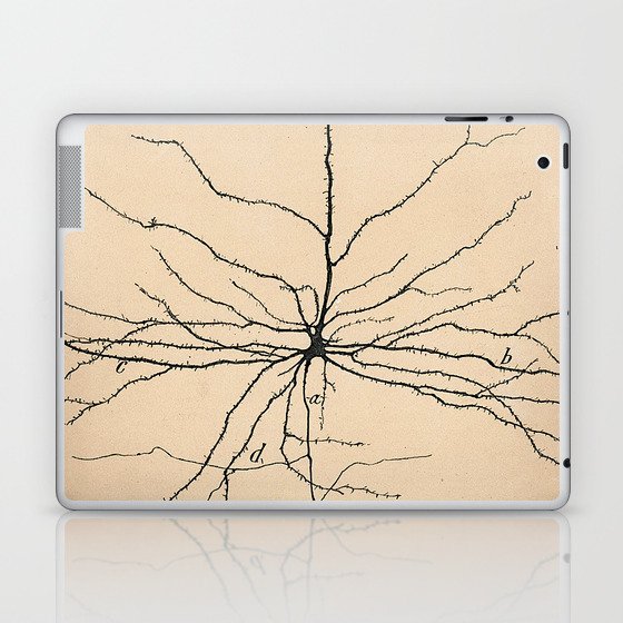 Santiago Ramon y Cajal Pyramida Neuron Drawing 1904 Laptop & iPad Skin