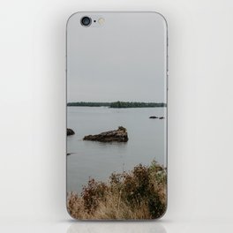 beach with trees iPhone Skin