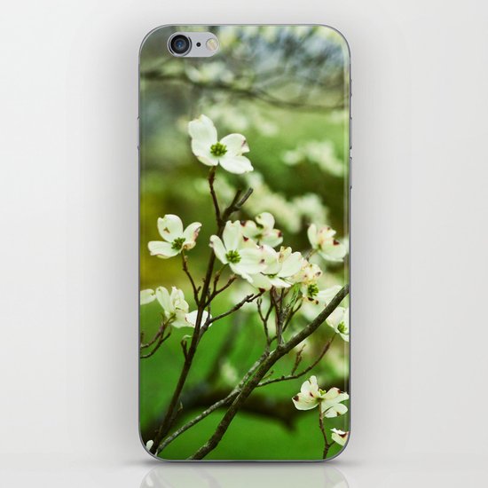 Surrounded by Possibility iPhone & iPod Skin