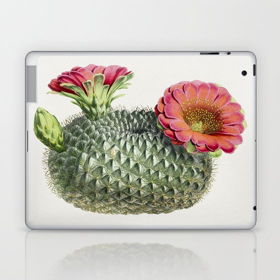 Vintage Fishhook Cactus Illustration Laptop & iPad Skin