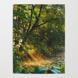 Golden Hour Rays | Landscape Photo Poster