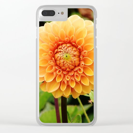 dahlias Clear iPhone Case