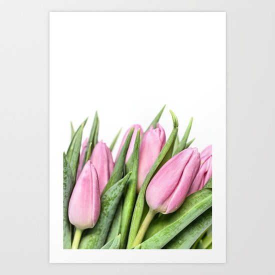 Tulips.... my first this year! (2) Art Print
