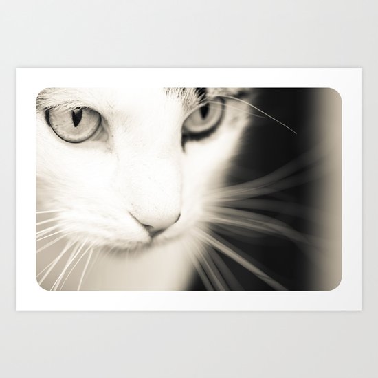Kisa Art Print