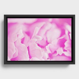 Pink Peony Framed Canvas