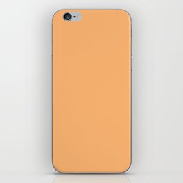 Jambalaya Orange iPhone Skin