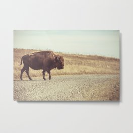 Bison Xing Buffalo Crossing Metal Print