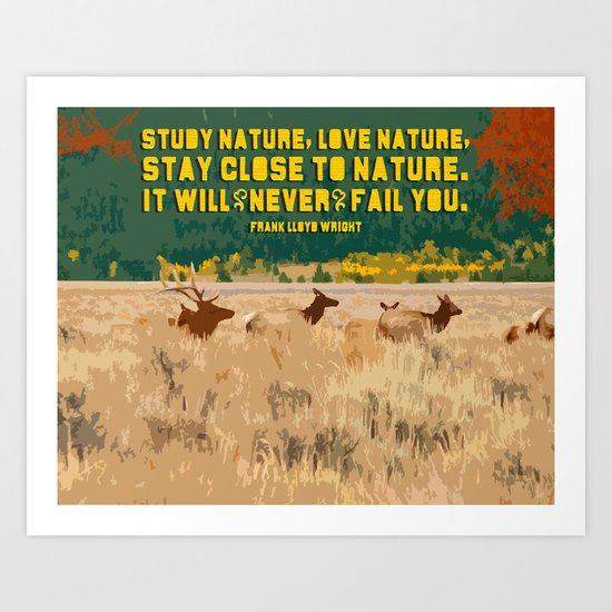 Nature Art Print