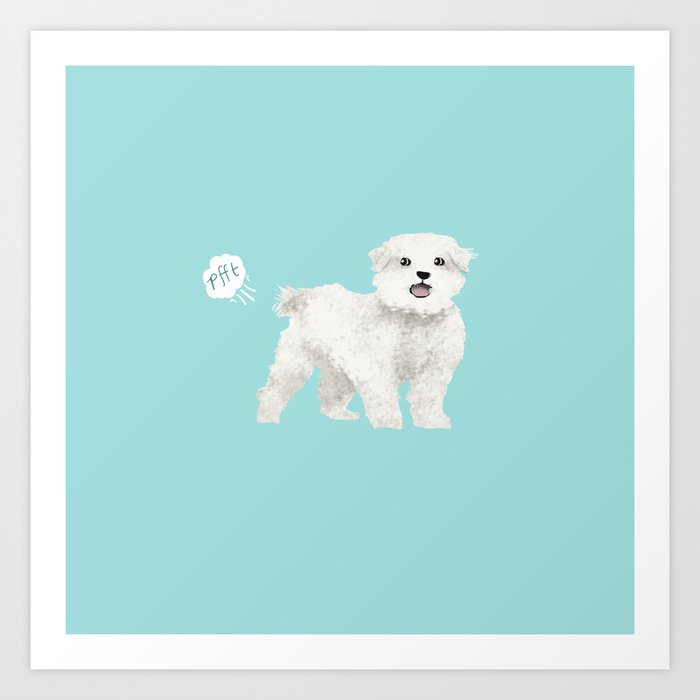 Maltese gifts online