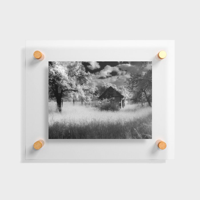 Abandoned, Cabin in the Wheat infrared black and white photography - photograph by Reinhard Brunsch Floating Acrylic Print