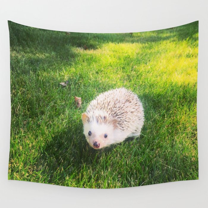 Juni the Hedgehog plays in grass Wall Tapestry