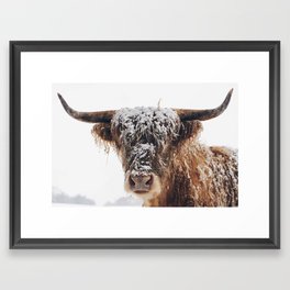 Snow Covered Highland Cow Framed Art Print