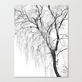 White snow tree Canvas Print