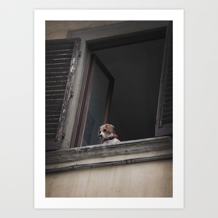 take me with you _ Beagle in a window Art Print