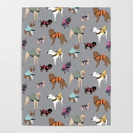Dog Sharks (dogs in shark life-jackets) on grey Poster