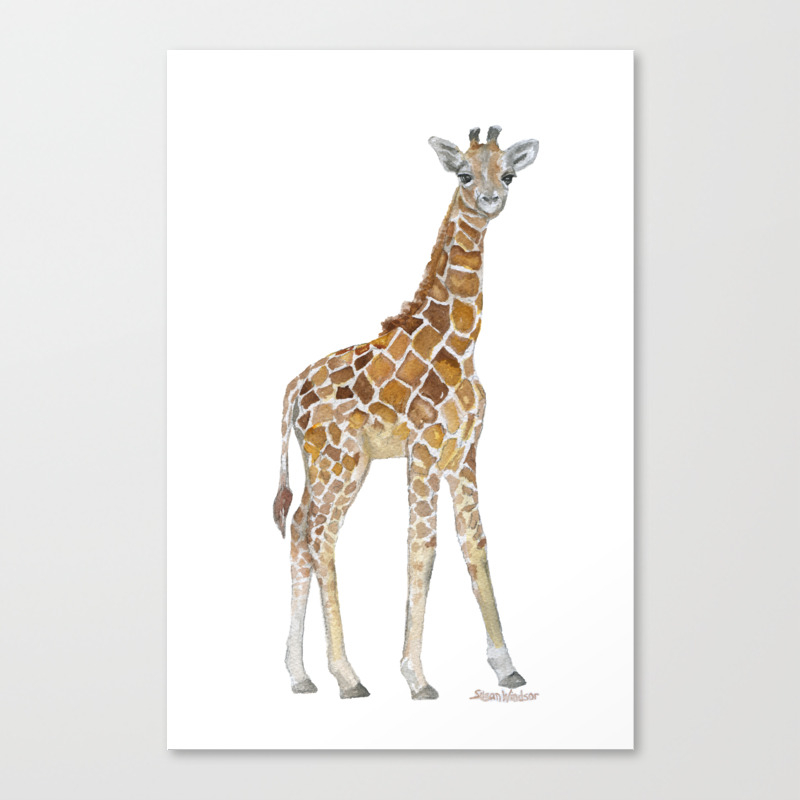 Baby Giraffe Watercolor Painting Canvas Print By Susanwindsor