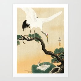 Crane and its chicks on a pine tree  - Vintage Japanese Woodblock Print Art Art Print