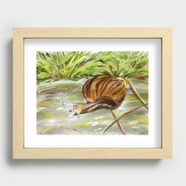 Snail Drawing Recessed Framed Print