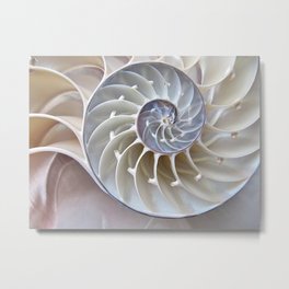 Nautilus Shell Metal Print | Color, Digital, Abstract, Nature, Photo, Pattern, Love 